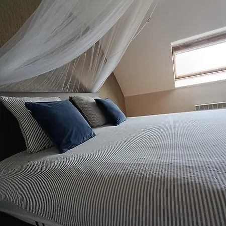 Villazzo Ghent